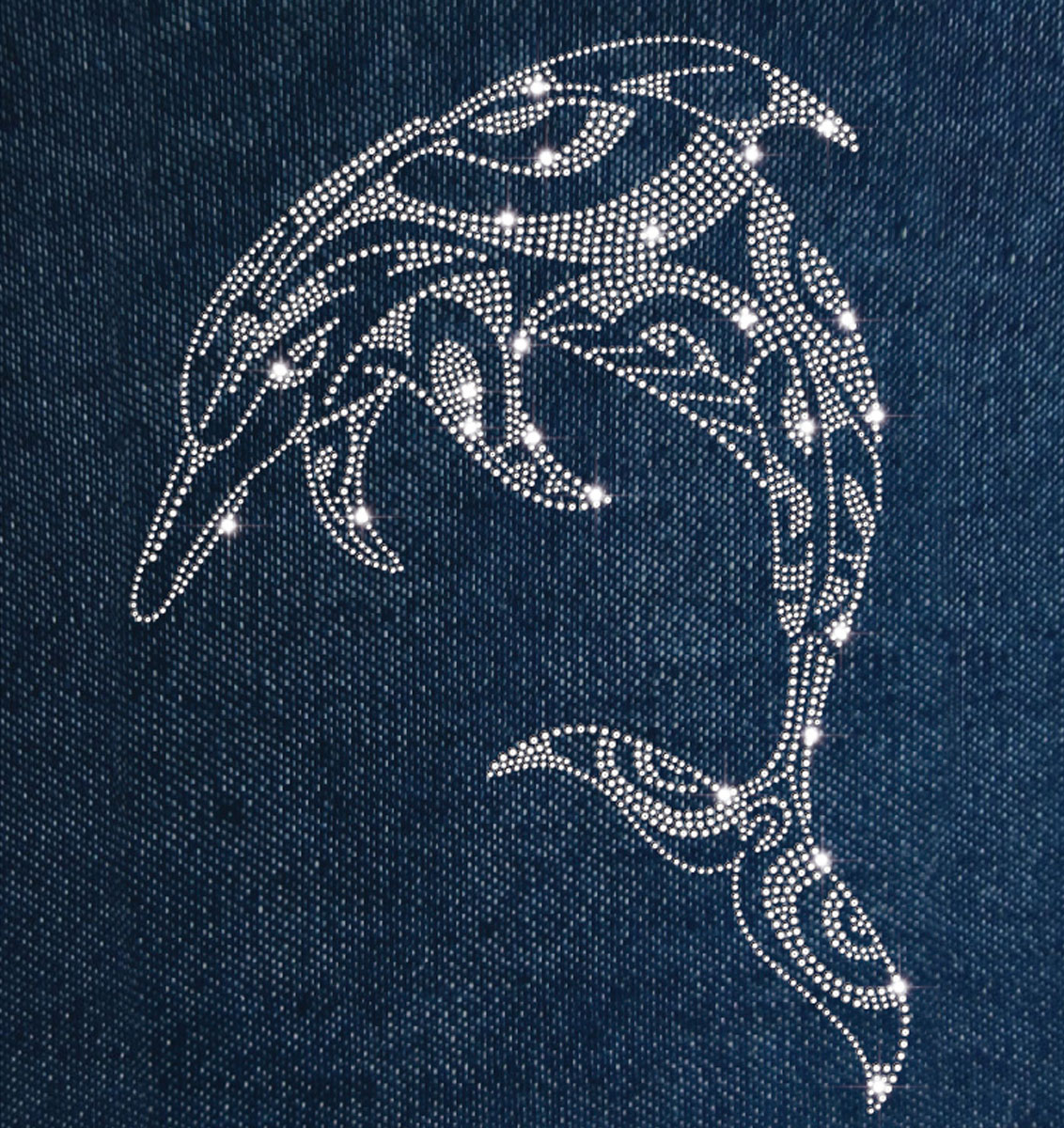 海豚