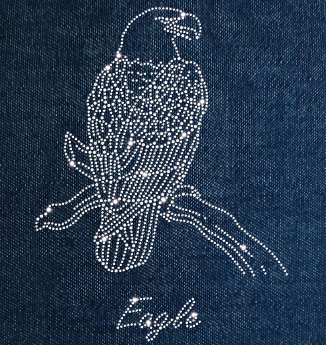 老鷹